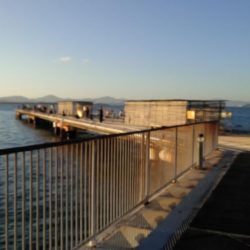 アジのサイズが少し大きくなってきました（下関フィッシングパーク）